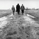 Sátántangó (Photo: EYE Film Institute Netherlands)